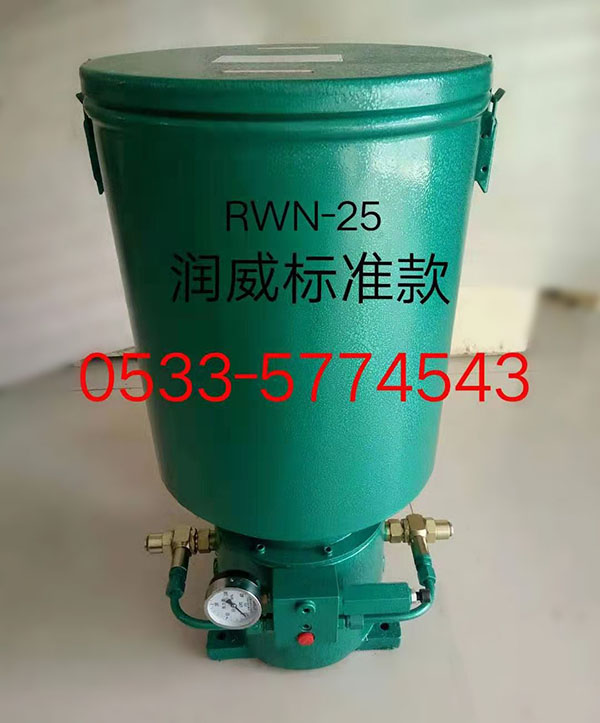 RWDB-N25电动润滑泵